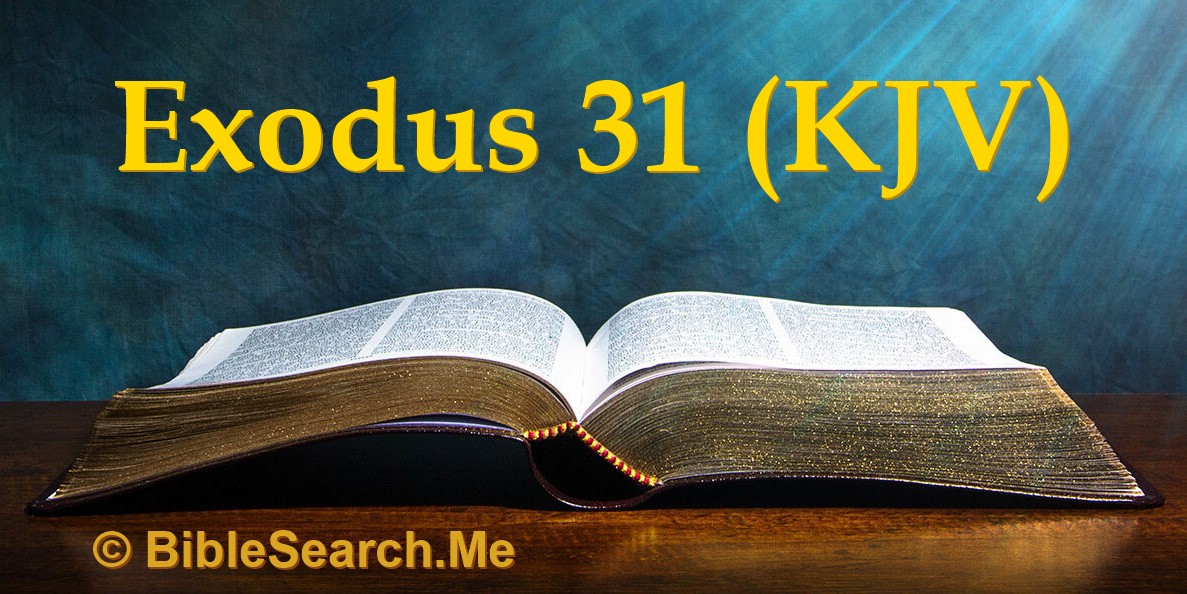 Bible Bible Search Bible bible search
